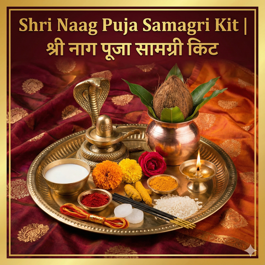Shri Naag Puja Samagri Kit | श्री नाग पूजा सामग्री किट